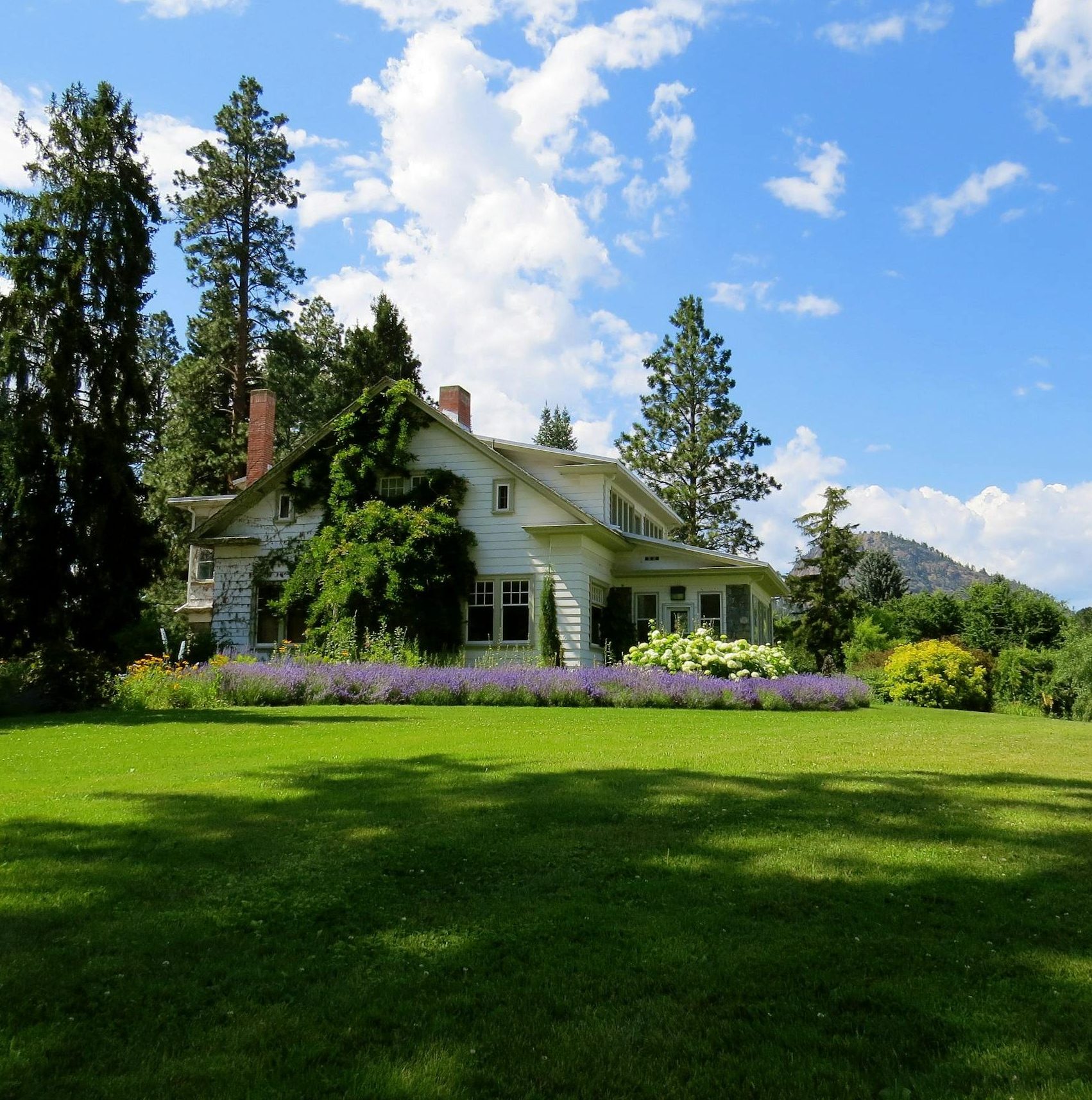 Idyllic countryside house surrounded by lavender and greenery under a bright blue sky.